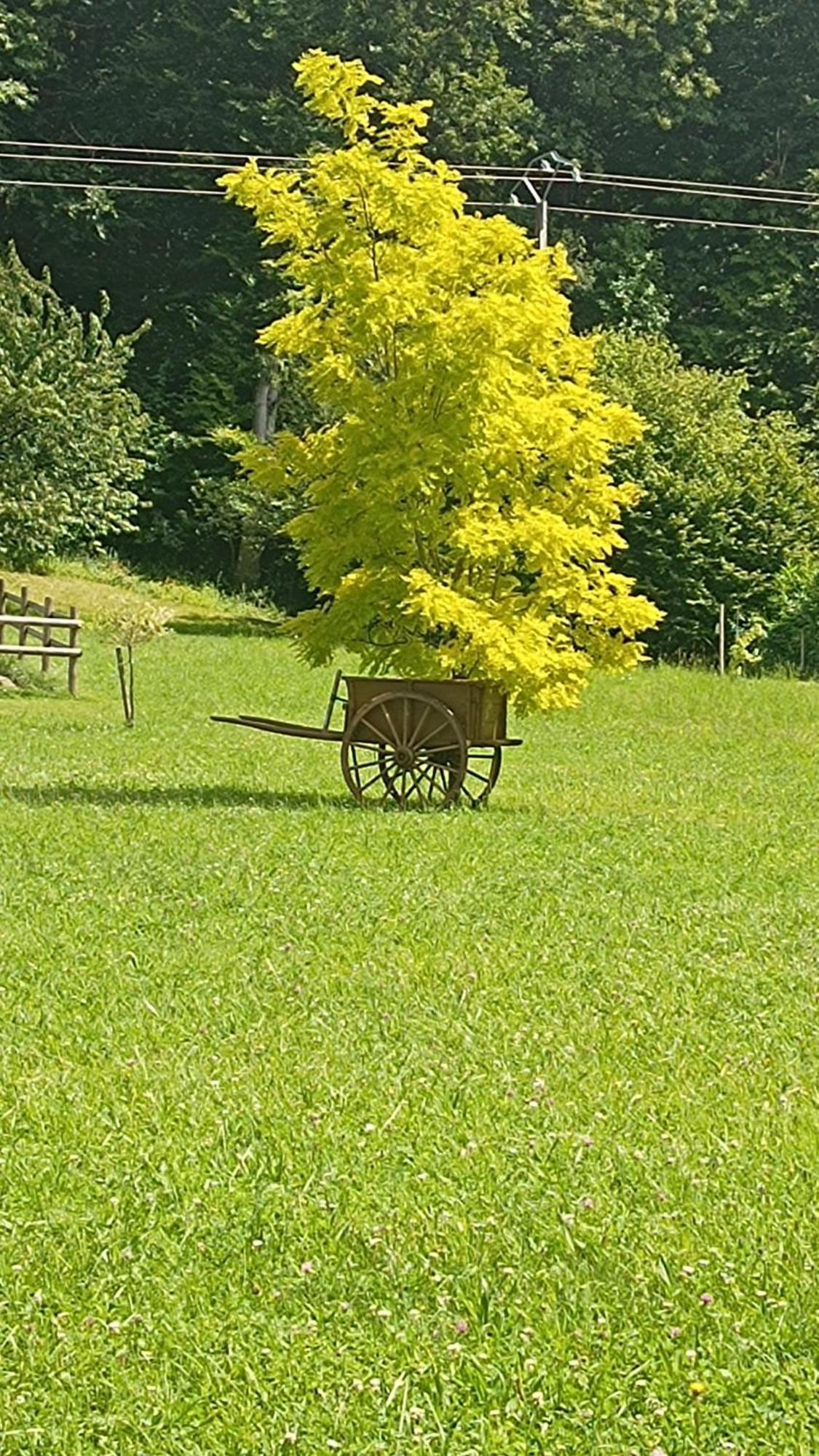 La Petite Maison Dans La Prairie Ecommoy Kültér fotó
